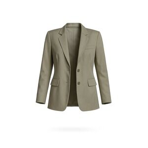 Ann Taylor Petites Wool Cashmere Blend Blazer Career Jacket 4P